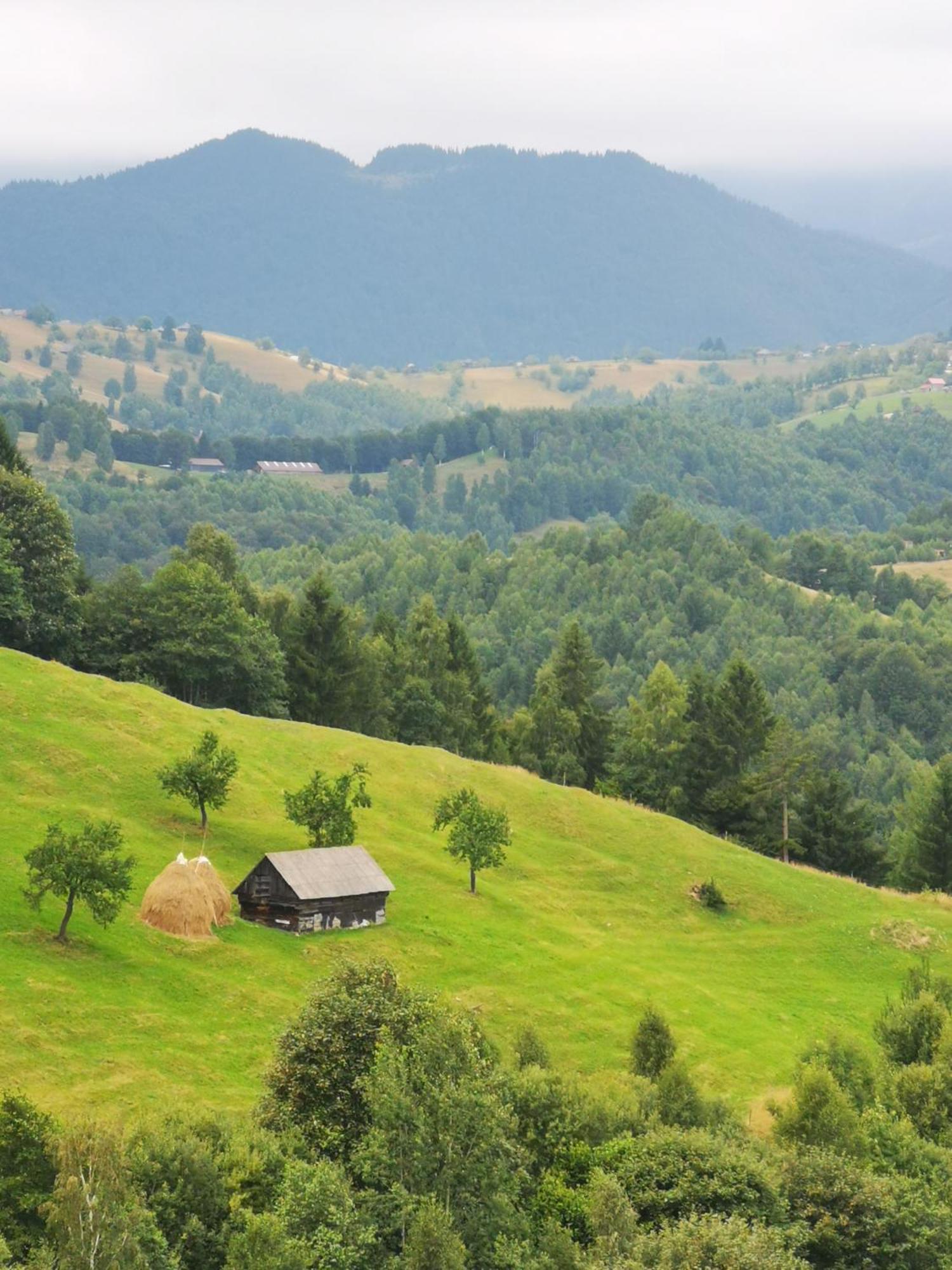 Glamping Zazen 호텔 Drumu Carului 외부 사진