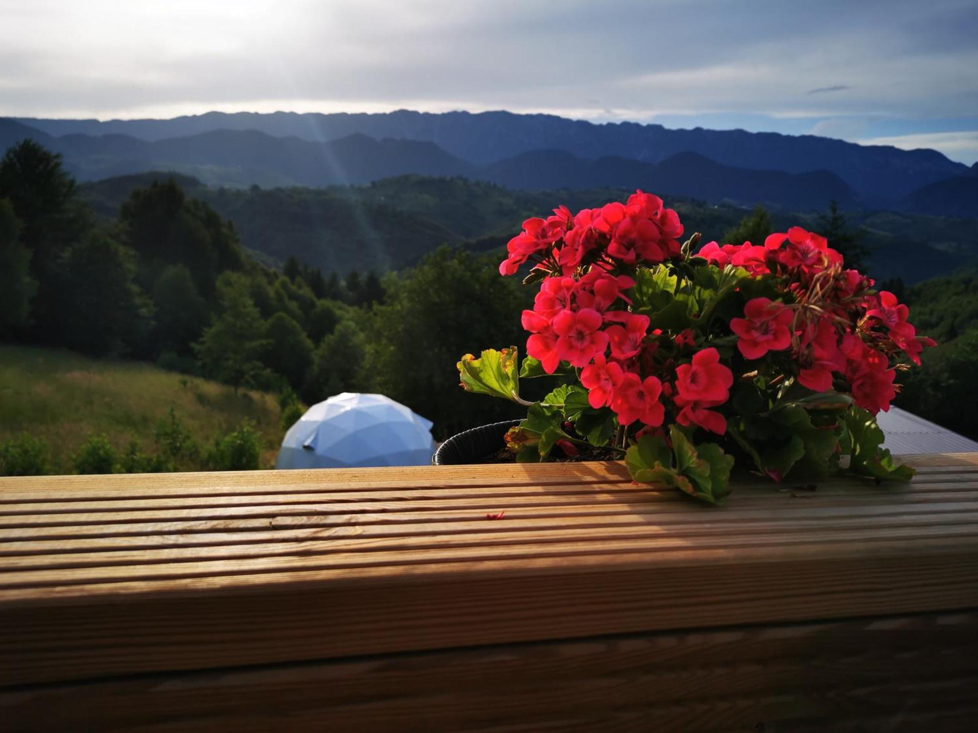 Glamping Zazen 호텔 Drumu Carului 외부 사진